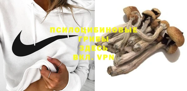 не бодяженный Алексин