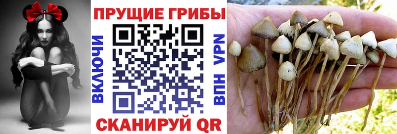 Галлюциногенные грибы мухоморы shop телеграм Белгород